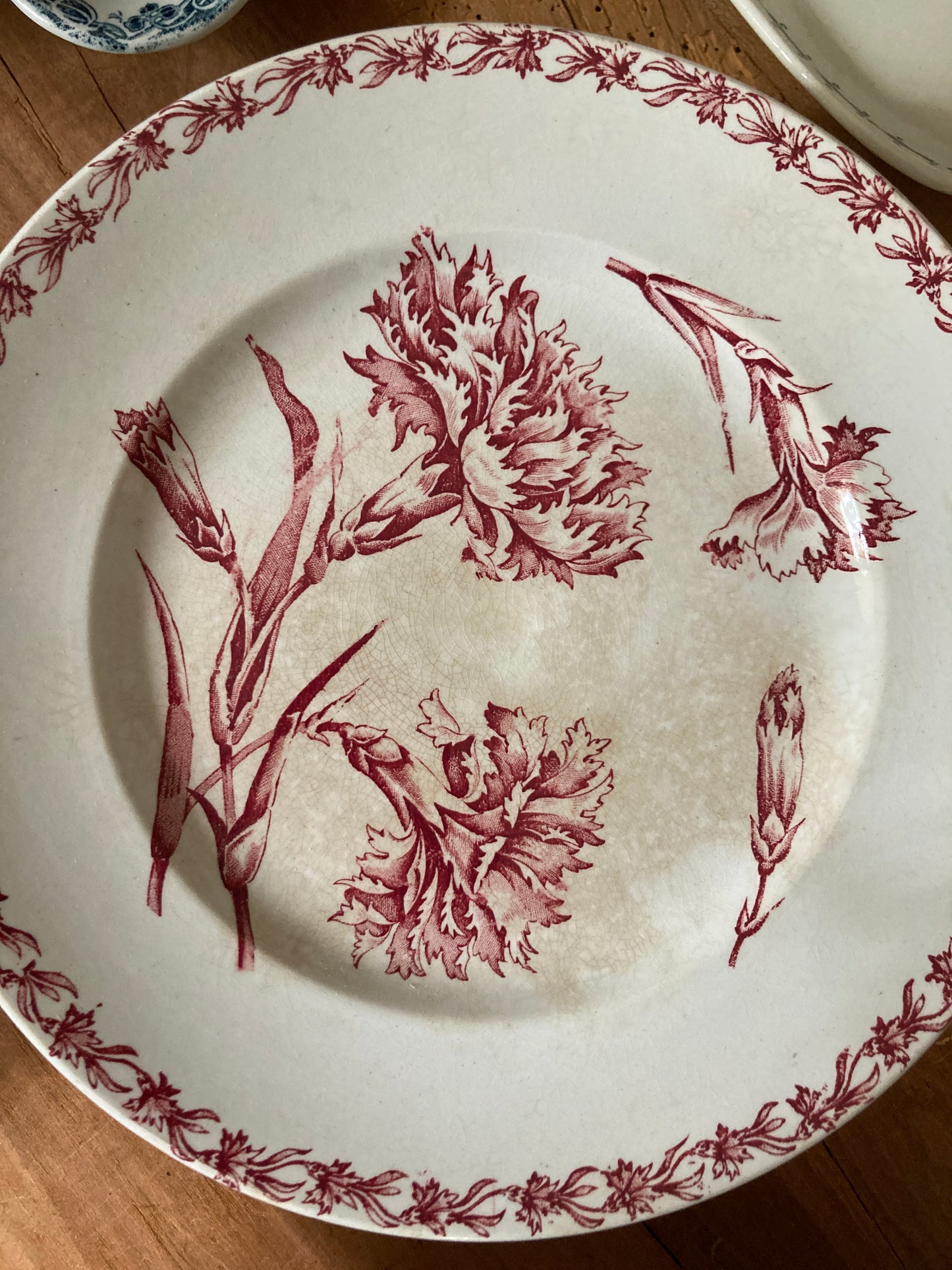 Oeillet - Assiette sur Piédouche