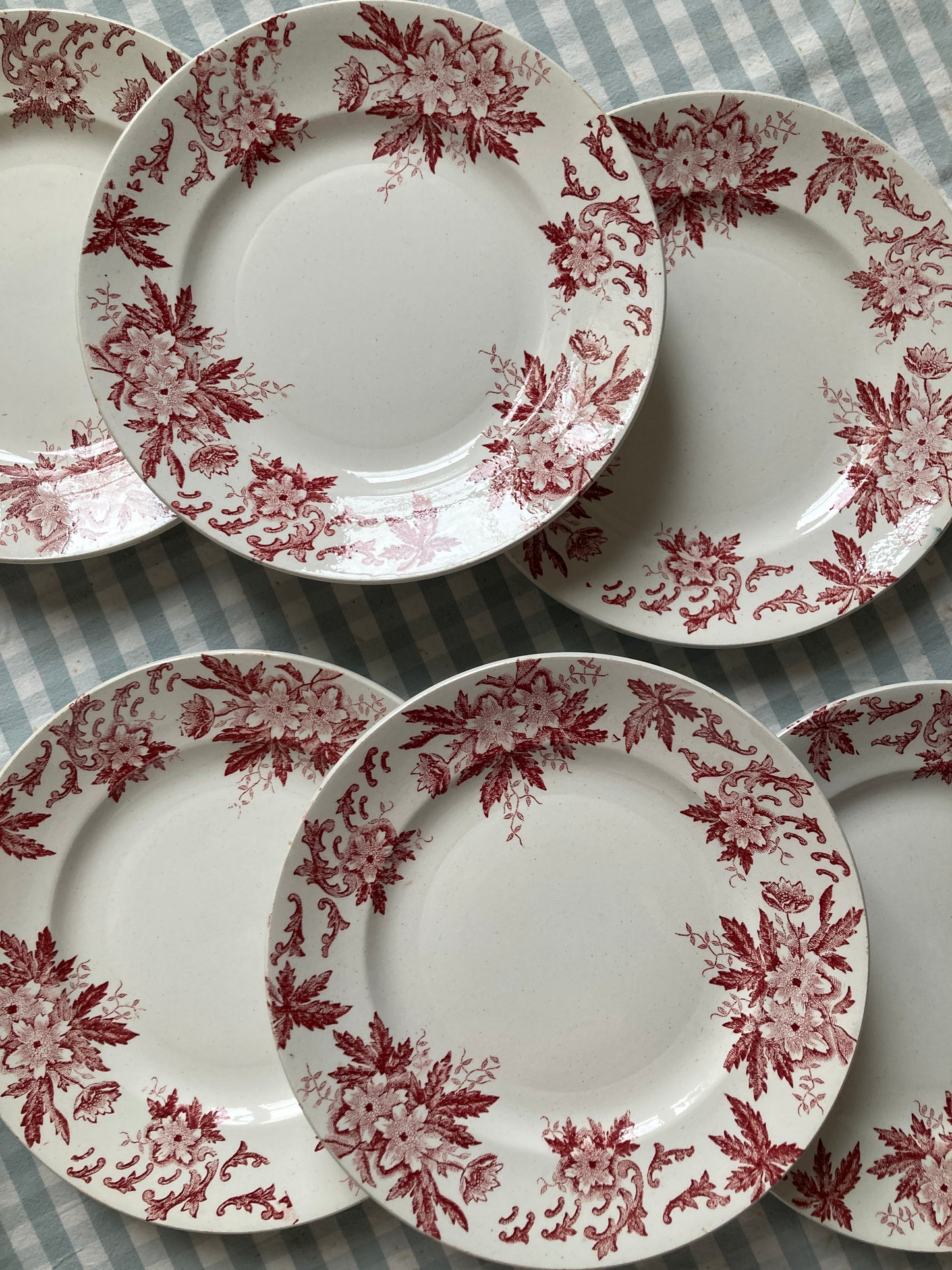 Anémones - 6 Assiettes Plates