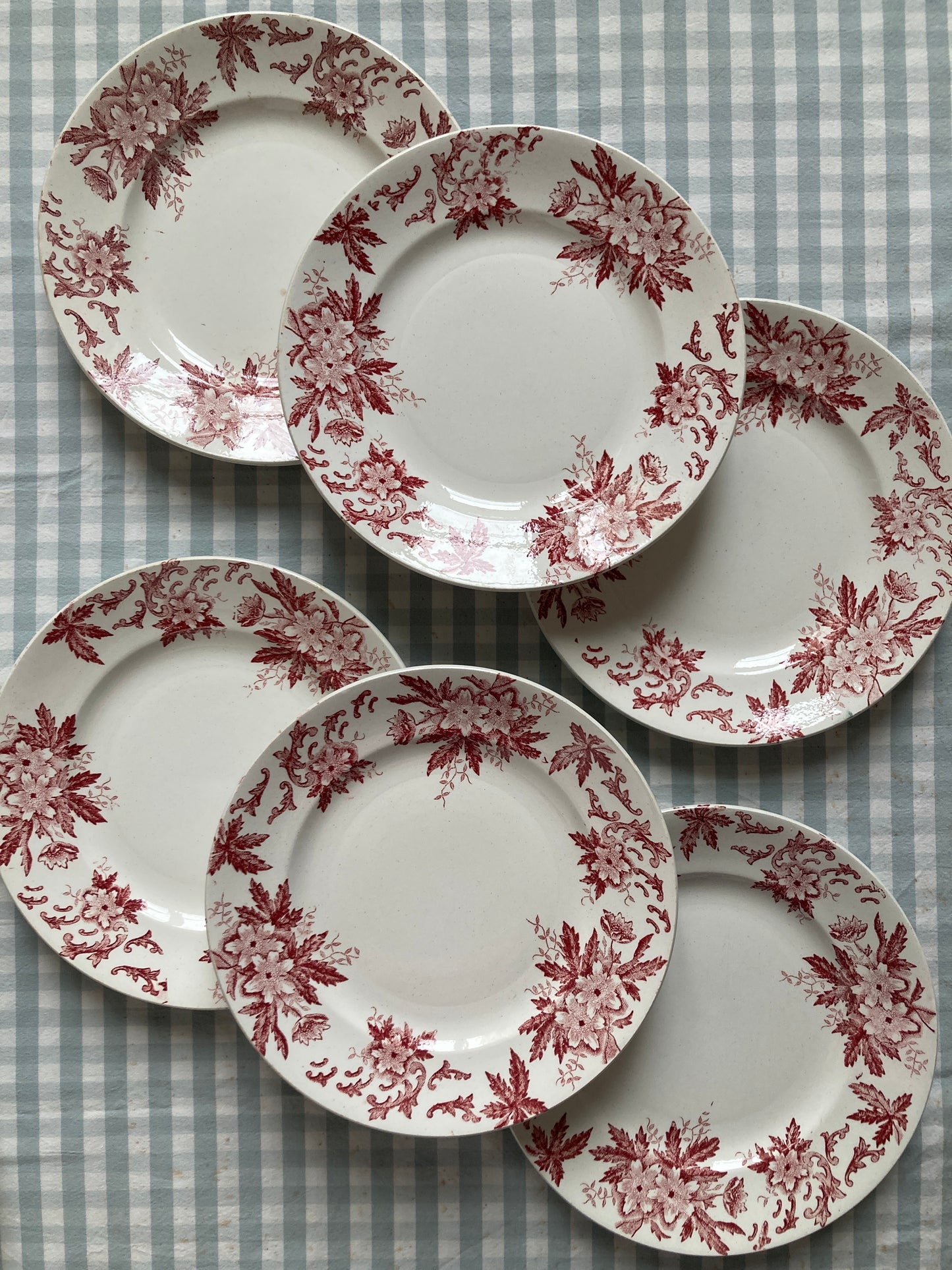 Anémones - 6 Assiettes Plates