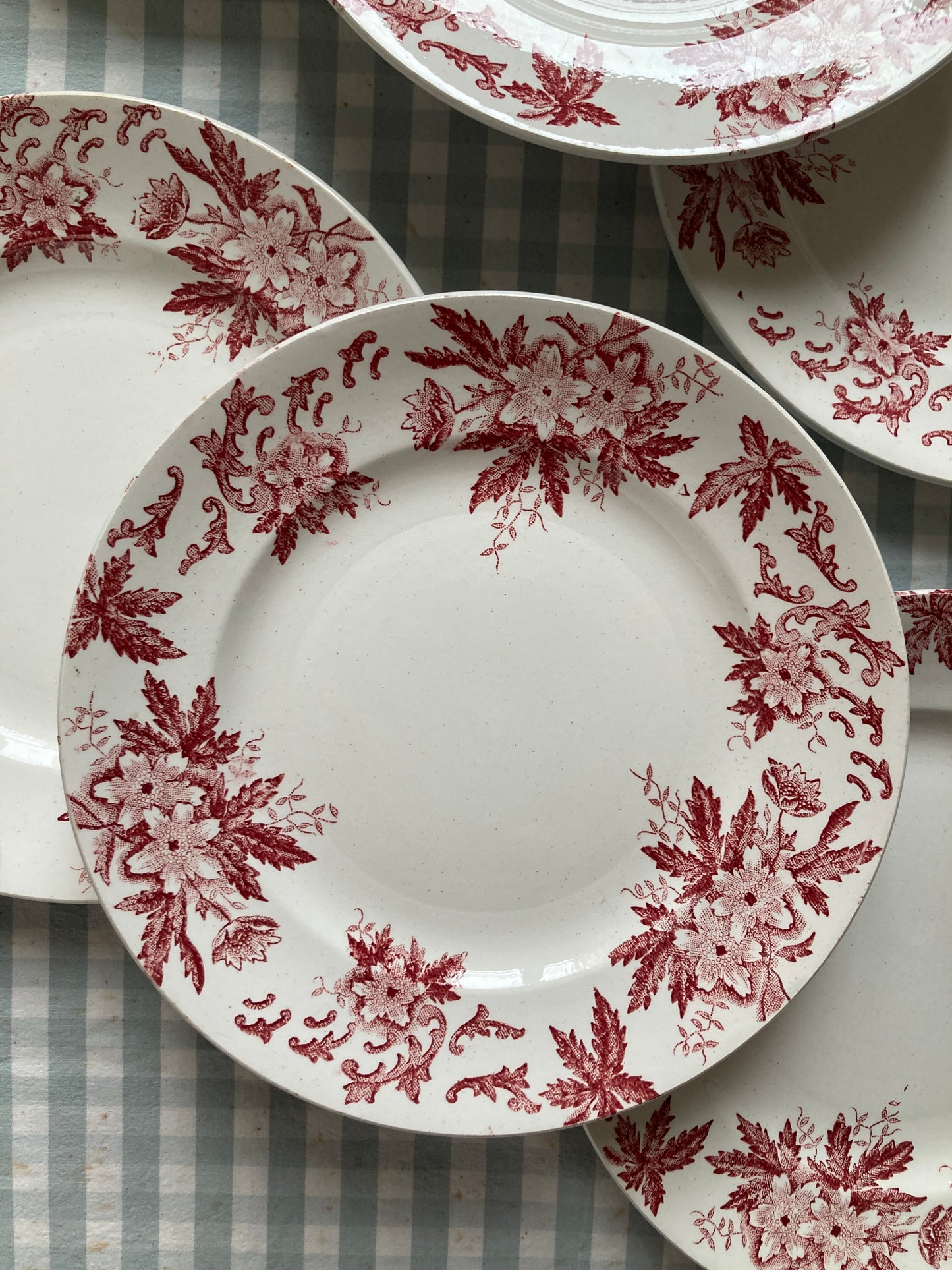 Anémones - 6 Assiettes Plates