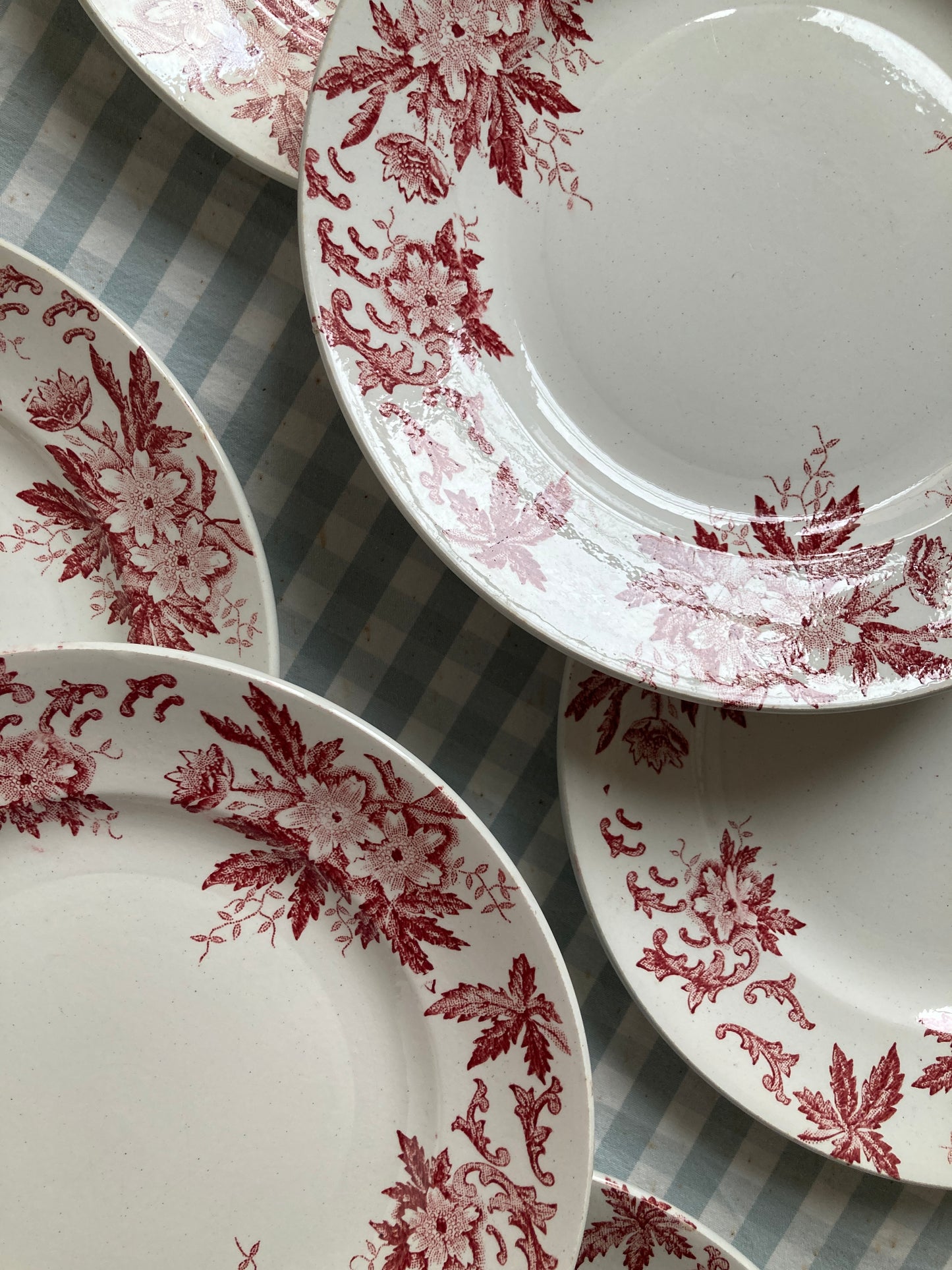 Anémones - 6 Assiettes Plates