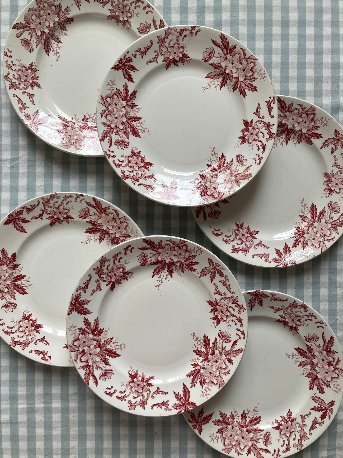 Anémones - 6 Assiettes Plates
