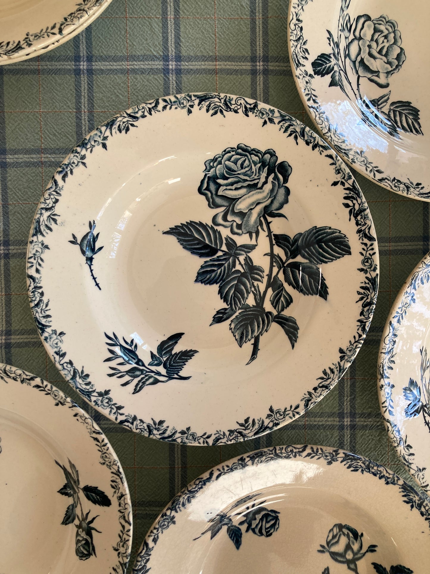 Roses - 4 Assiettes creuses