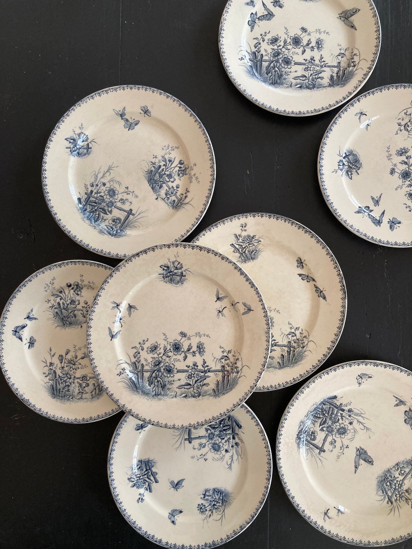 Tsarine - 4 Assiettes Plates