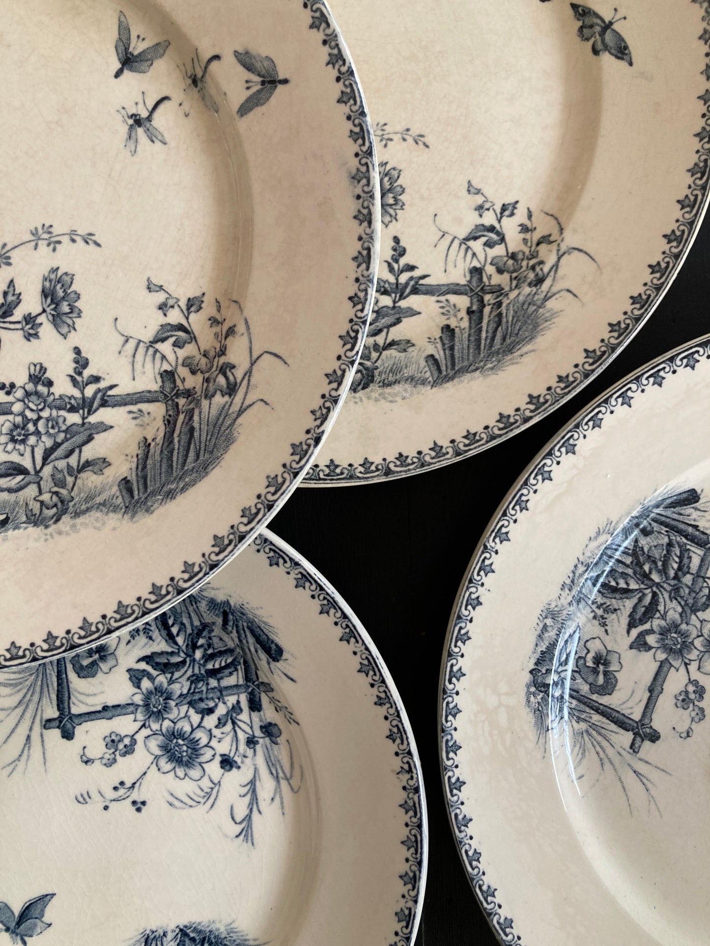 Tsarine - 4 Assiettes Plates