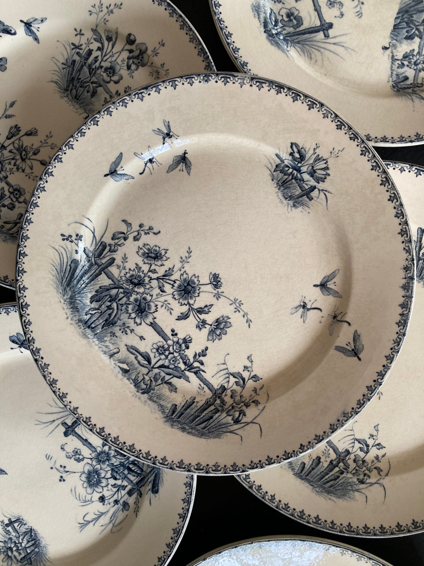 Tsarine - 4 Assiettes Plates