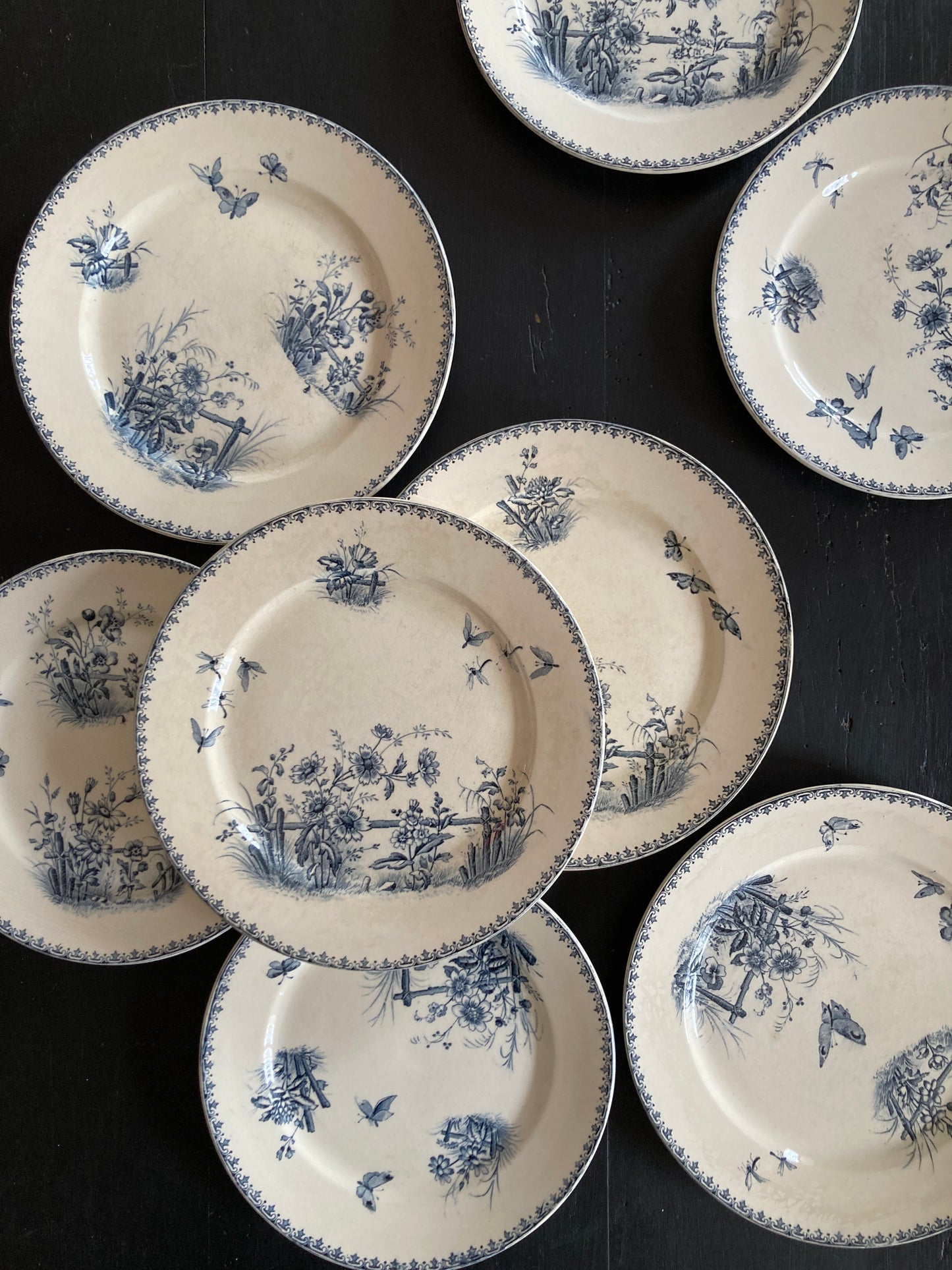 Tsarine - 4 Assiettes Plates