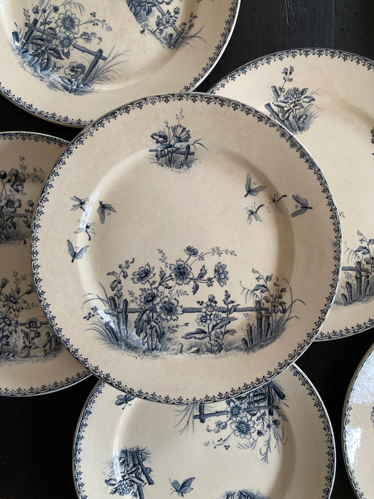 Tsarine - 4 Assiettes Plates