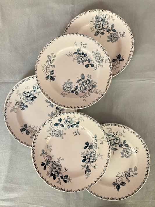 Acacia - 5 Assiettes Plates