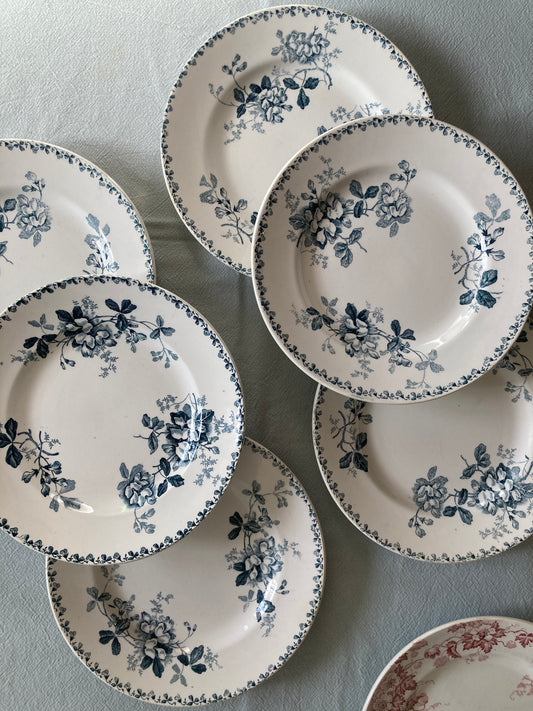 Acacia - 6 Assiettes Plates