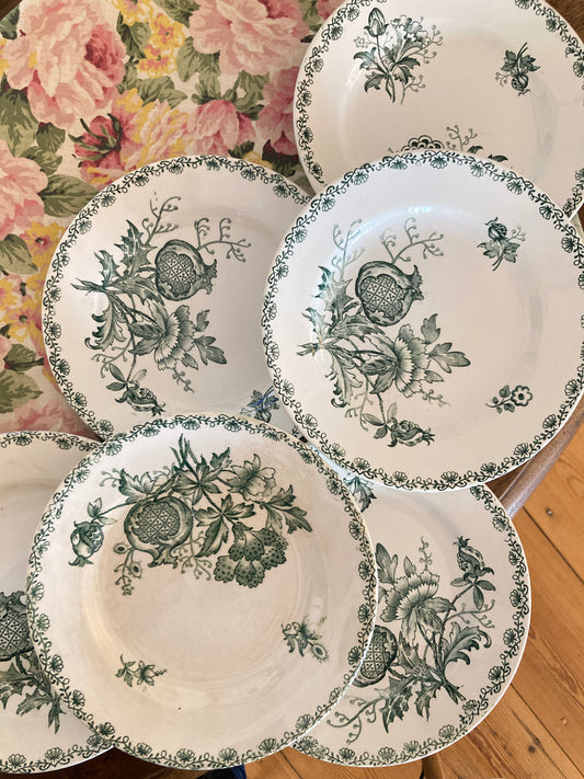 Alma - 6 Dinner Plates