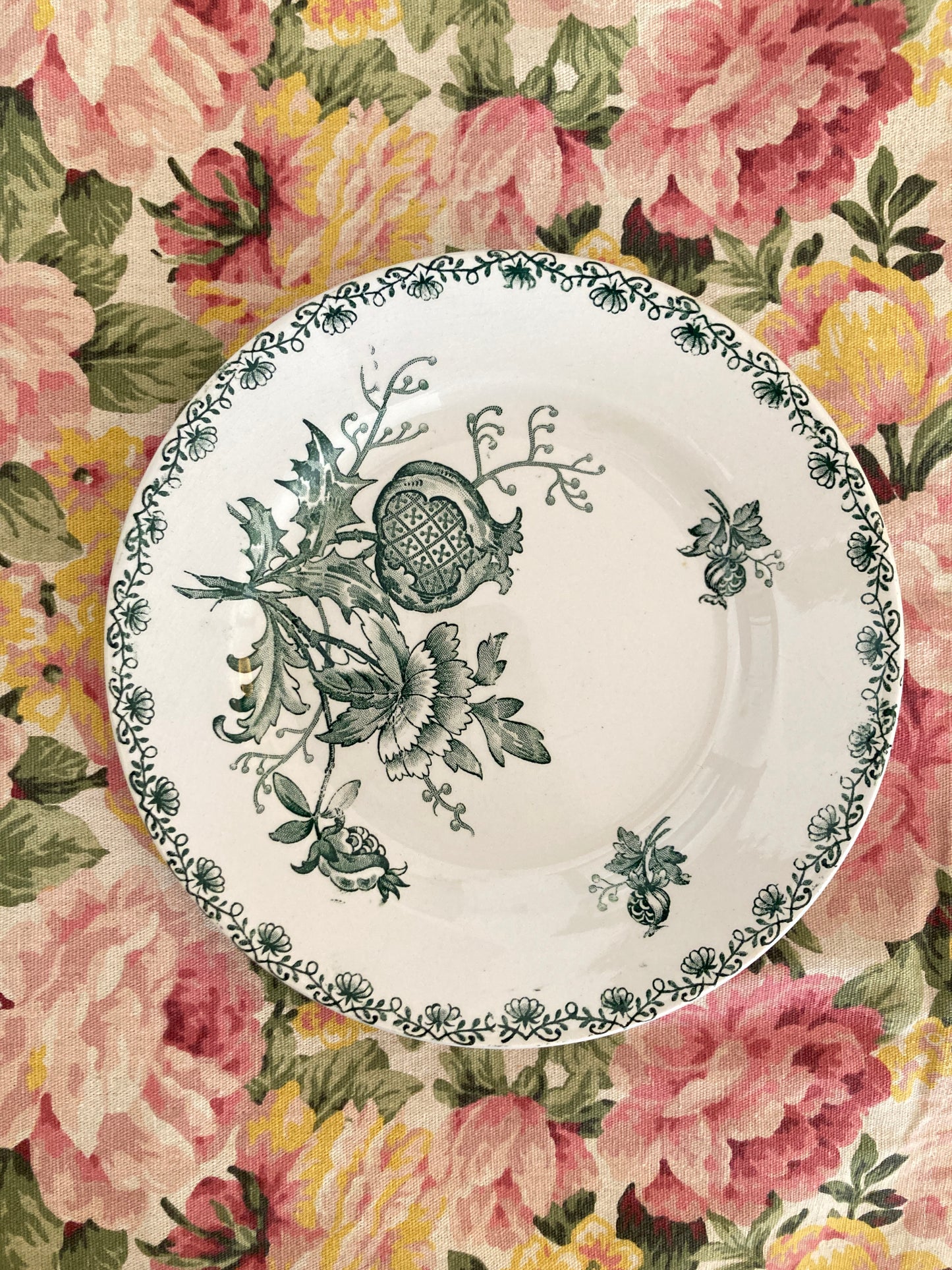 Alma - 6 Assiettes Plates