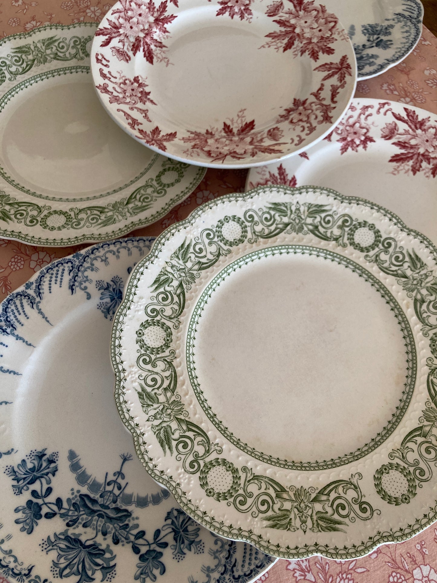 Anémone - 6 Assiettes Plates