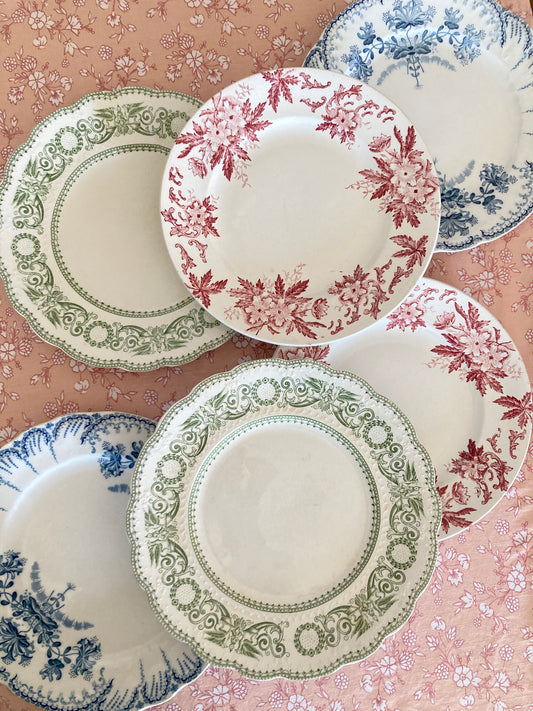 Anemone - 6 Dinner Plates