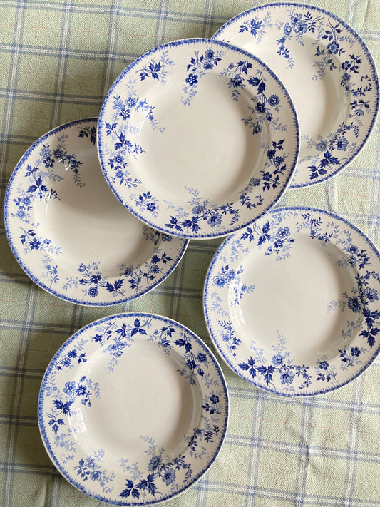 Baby Blue - 5 Assiettes Creuses