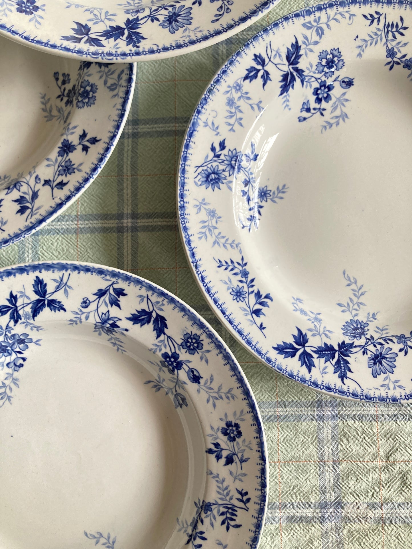Baby Blue - 5 Assiettes Creuses