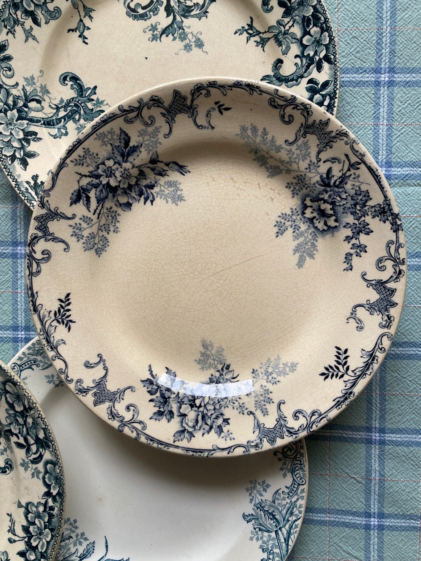 Wild Rose - 6 Assiettes Plates