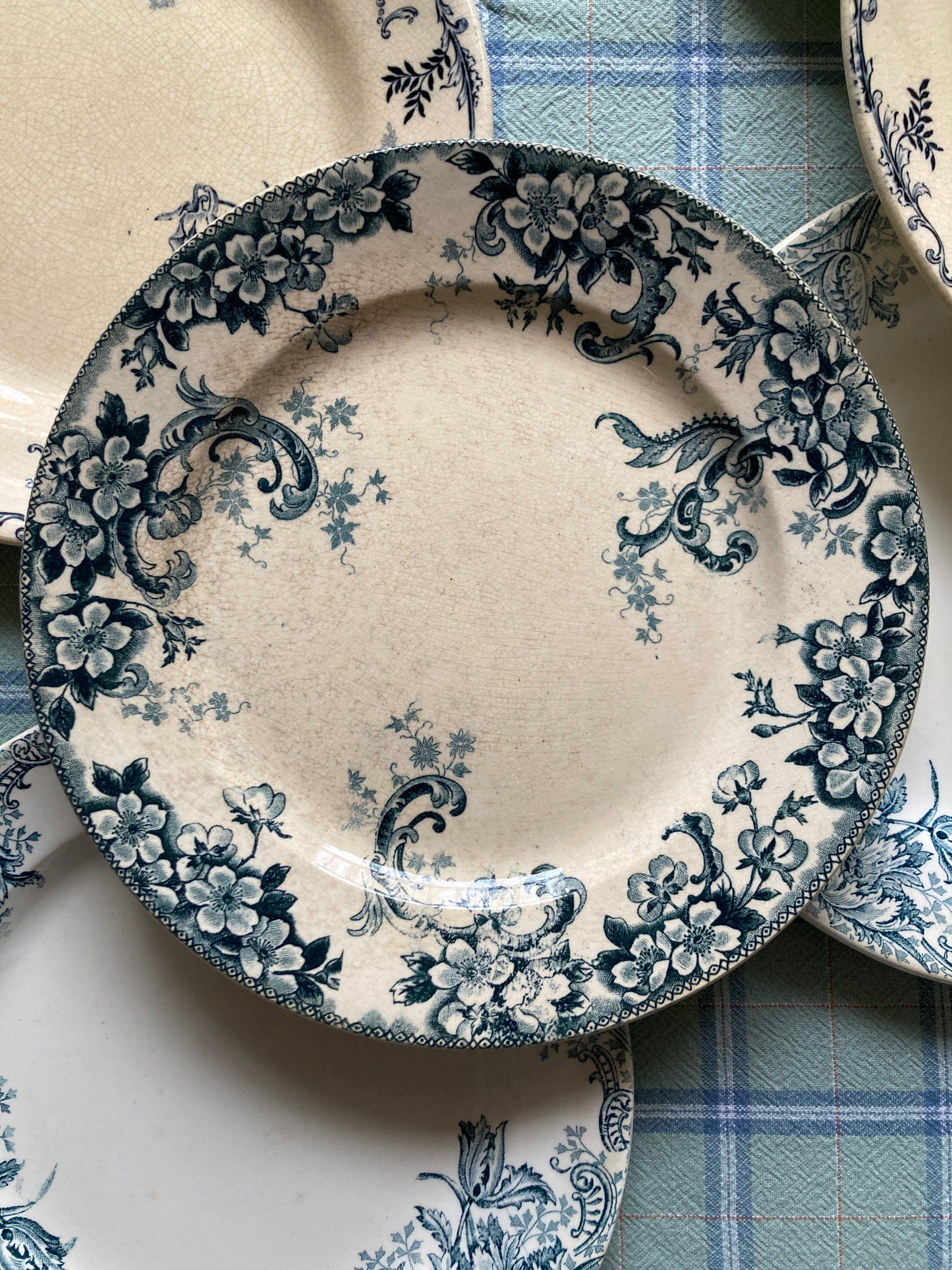 Wild Rose - 6 Assiettes Plates