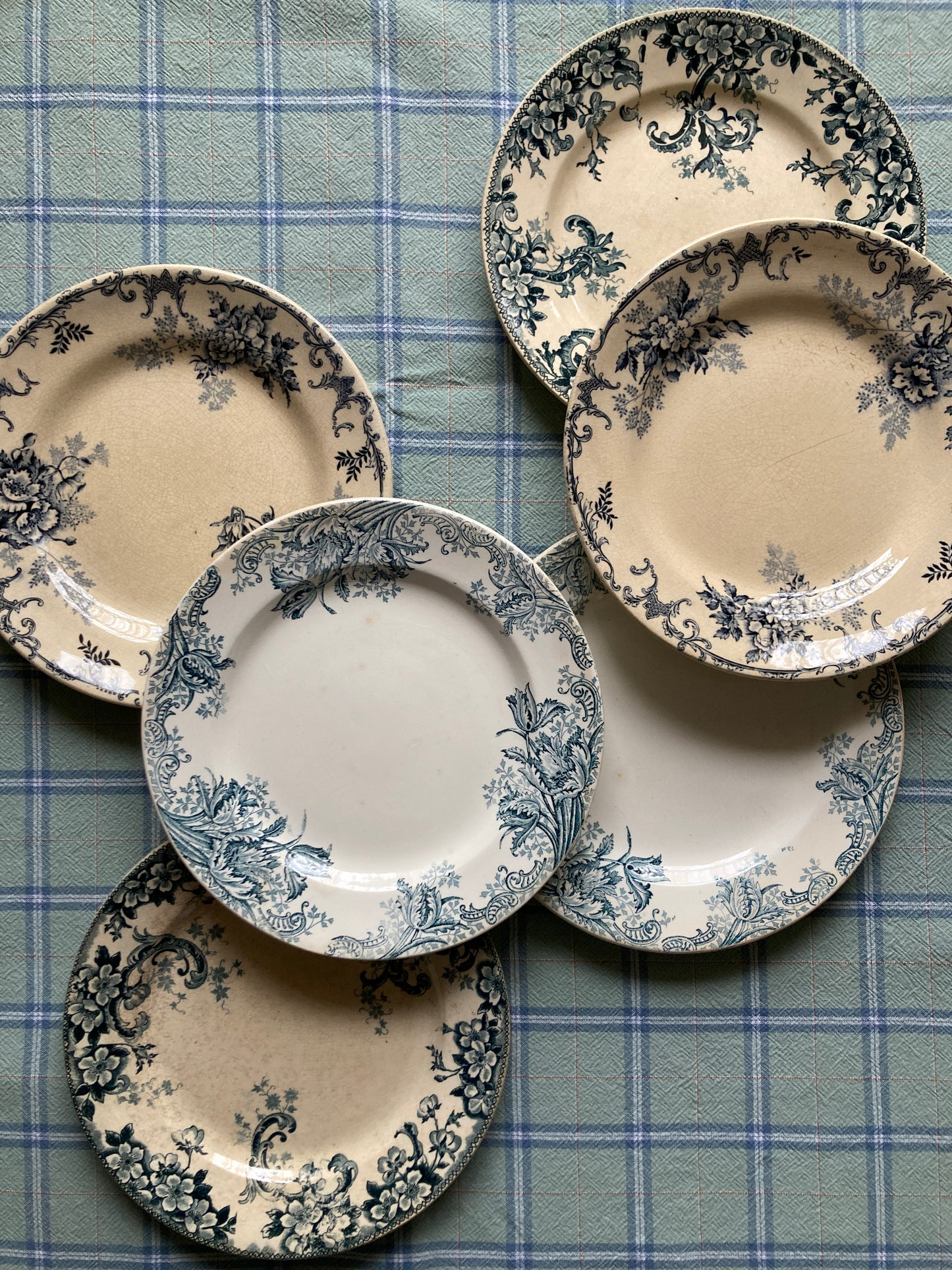 Wild Rose - 6 Assiettes Plates