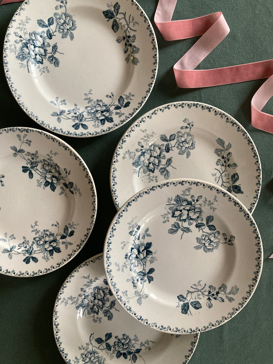 Acacia - 5 Assiettes Plates