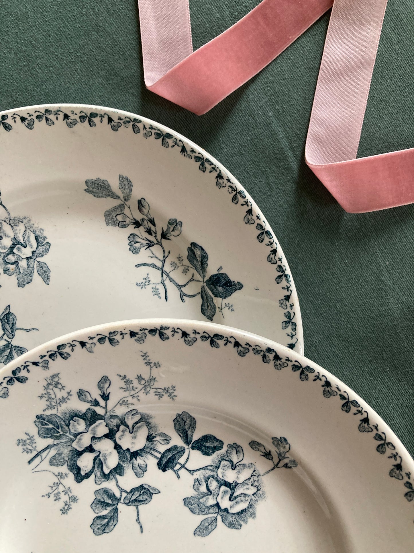 Acacia - 5 Assiettes Plates