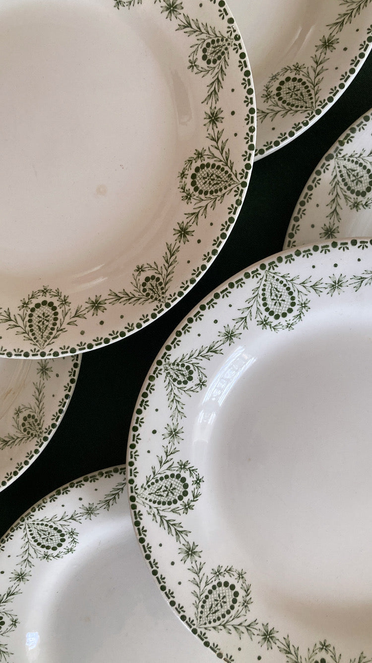 Labrador - 6 Assiettes Plates