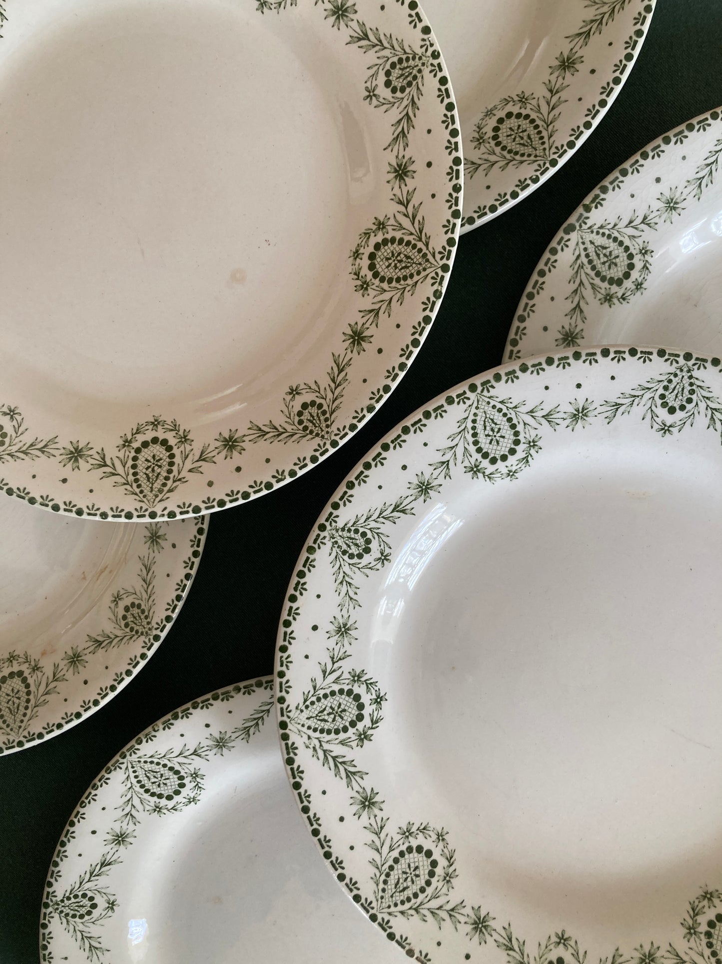 Labrador - 6 Assiettes Plates