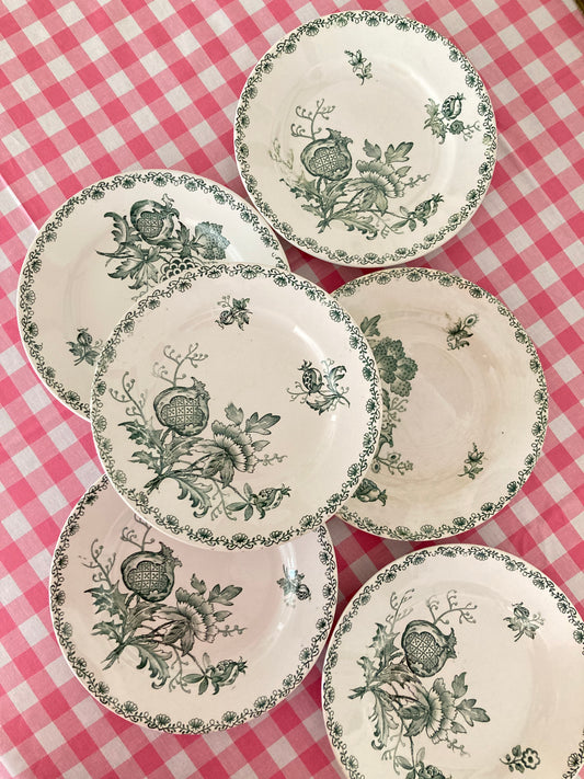 Alma - 6 Soup Plates