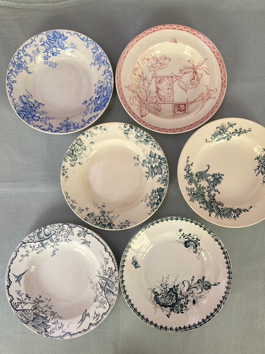 Multico - 6 Assiettes Creuses