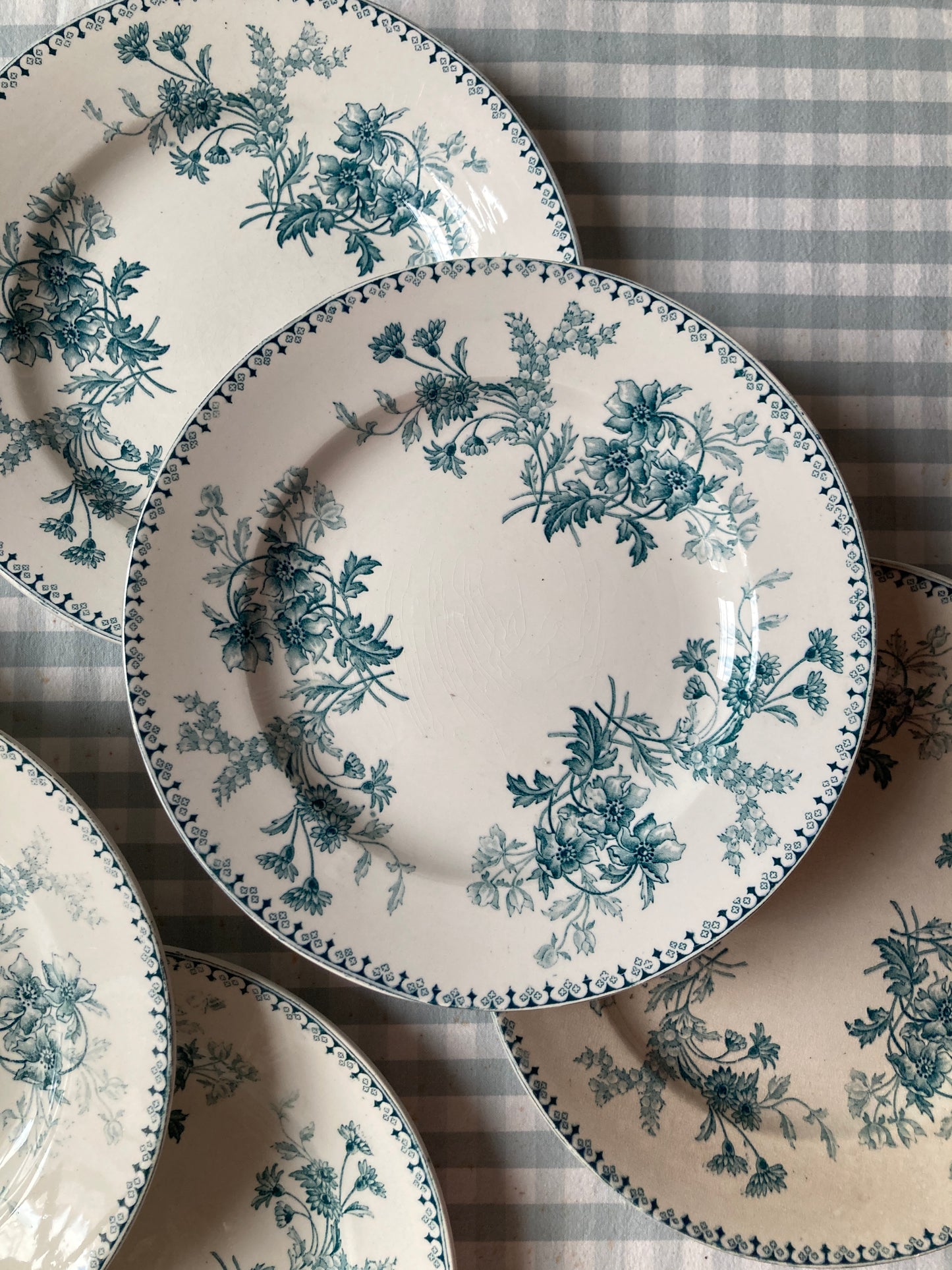 Elvire - 6 Assiettes Plates