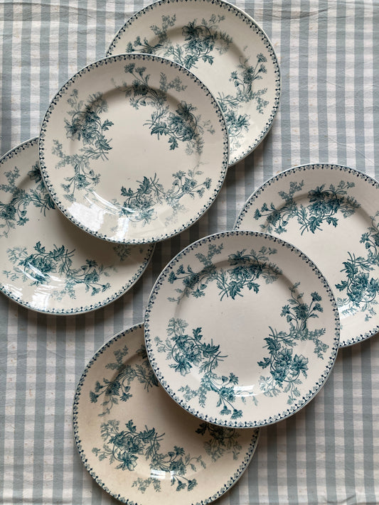 Elvire - 6 Assiettes Plates
