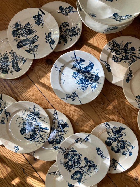 Corneilles - 6 Assiettes A Dessert