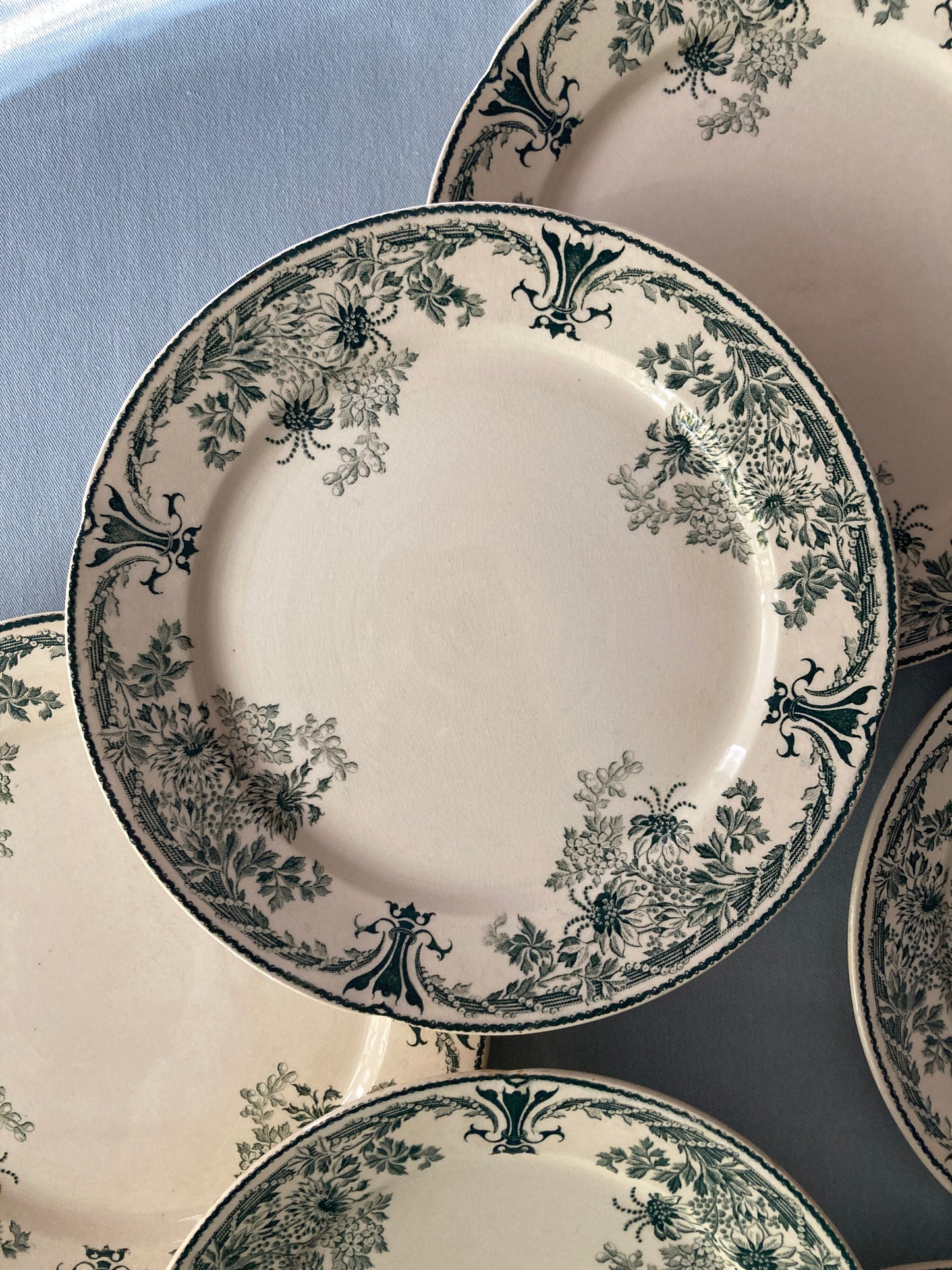 Molière - 6 Assiettes Plates