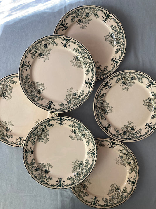 Molière - 6 Assiettes Plates