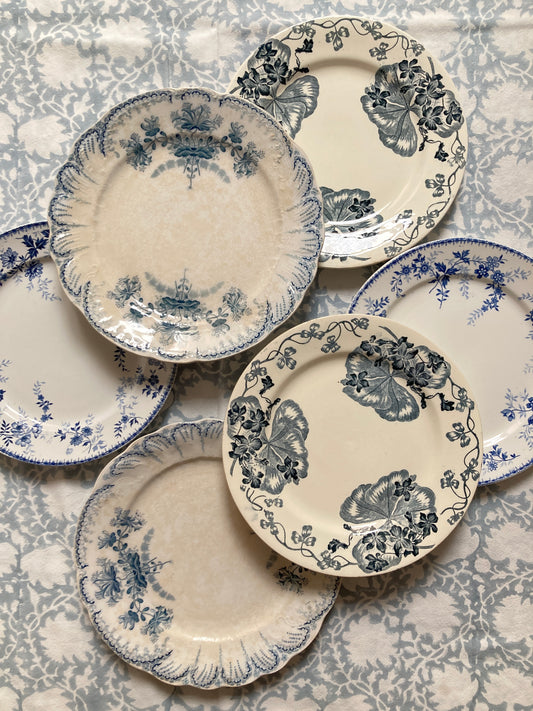 Valse - 6 Assiettes Plates