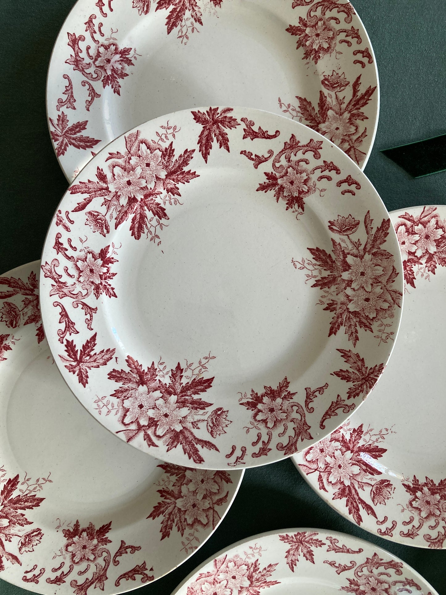 Anémones - 6 Assiettes Plates