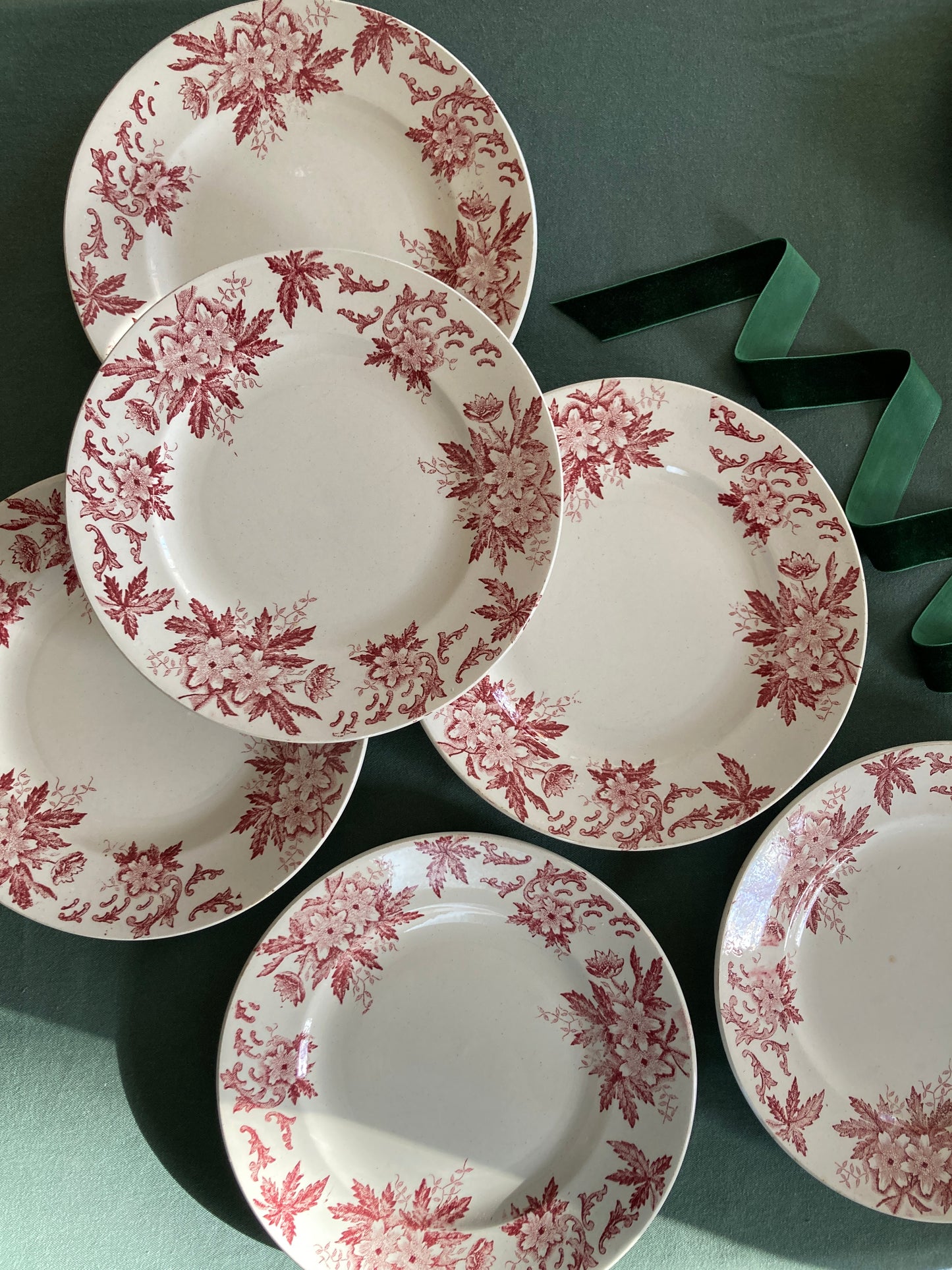 Anémones - 6 Assiettes Plates