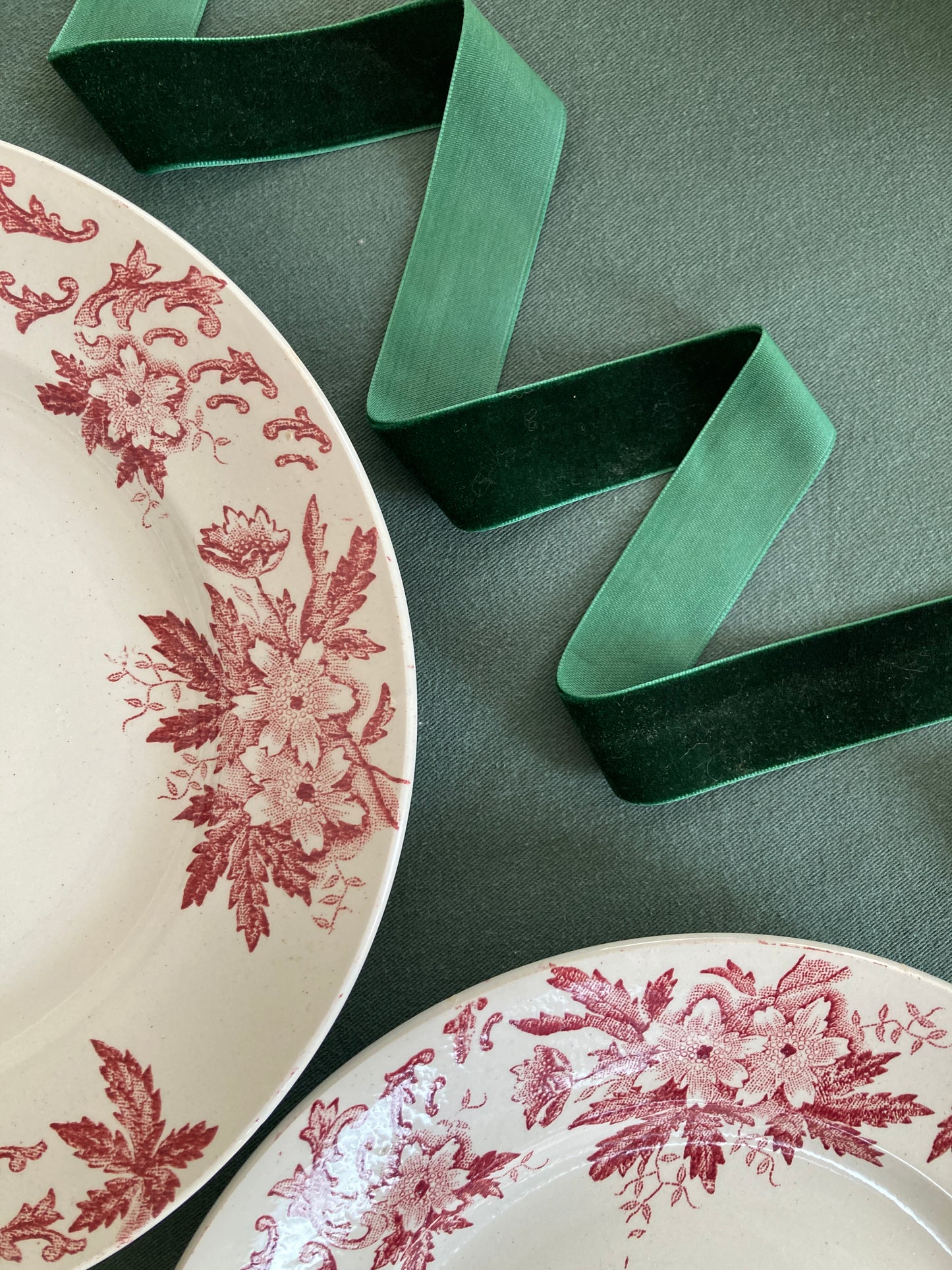 Anémones - 6 Assiettes Plates