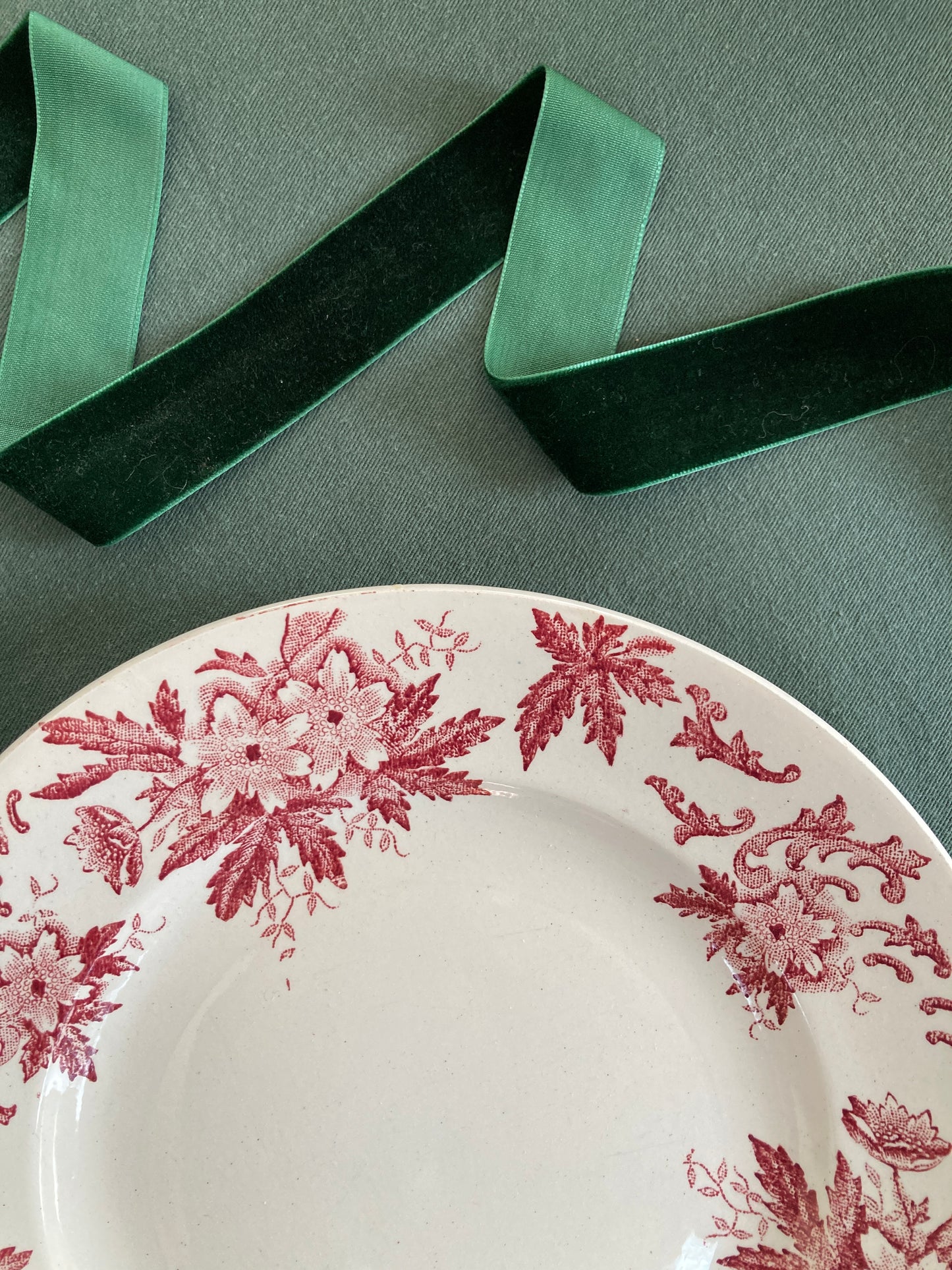 Anémones - 6 Assiettes Plates