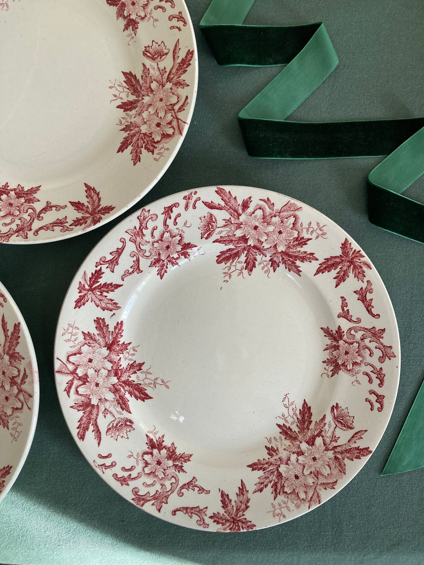 Anémones - 6 Assiettes Plates