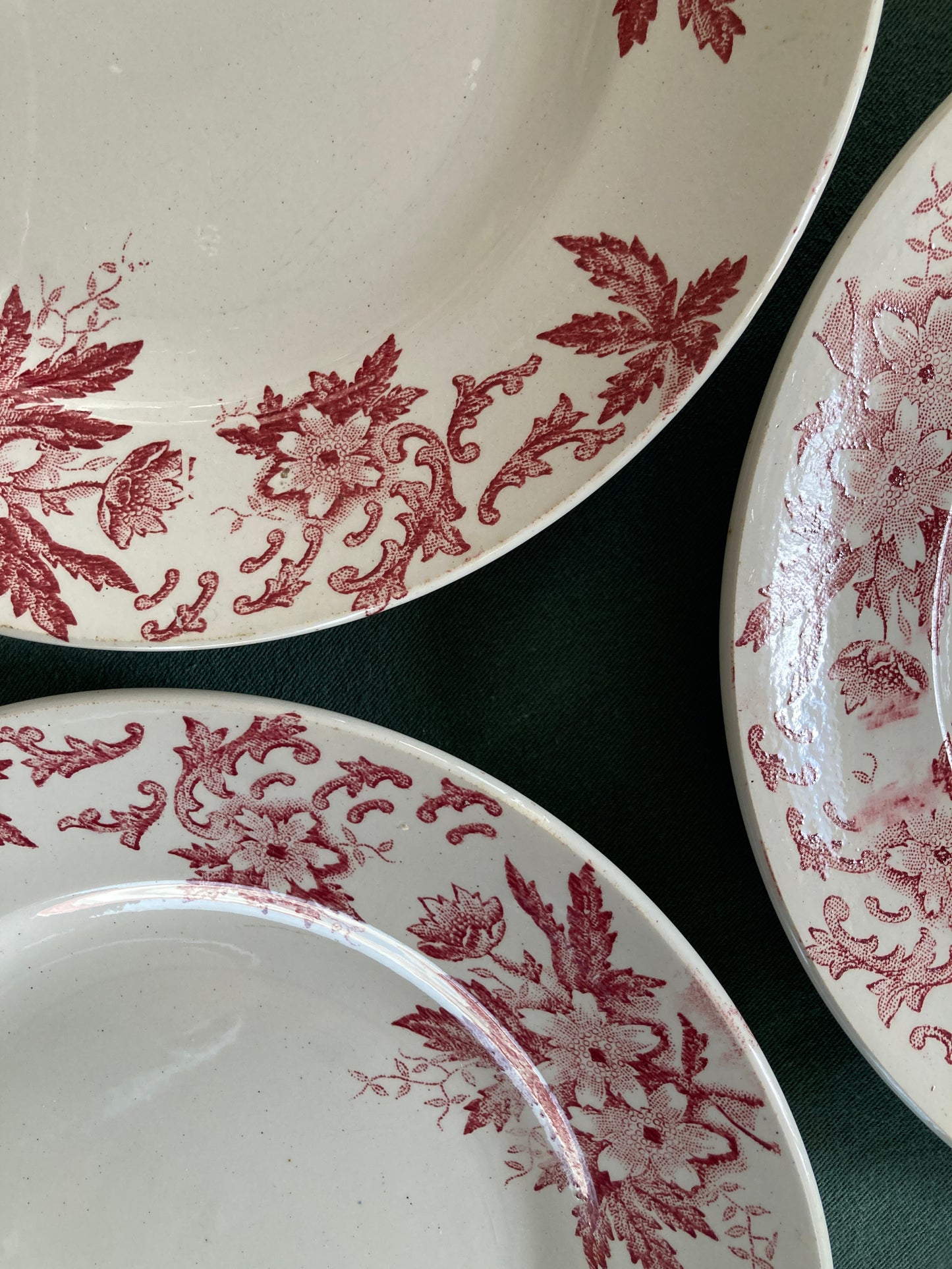 Anémones - 6 Assiettes Plates