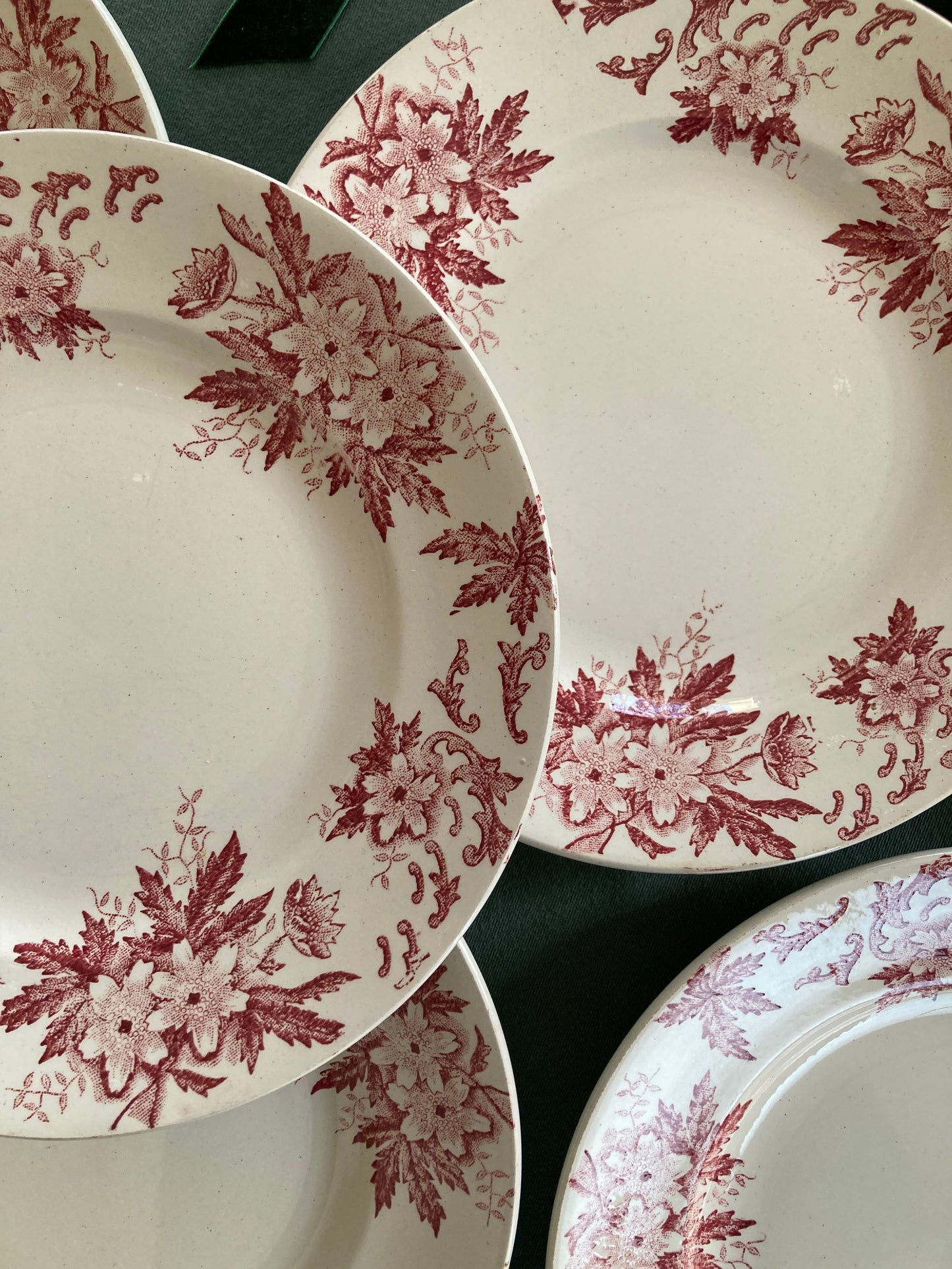 Anémones - 6 Assiettes Plates