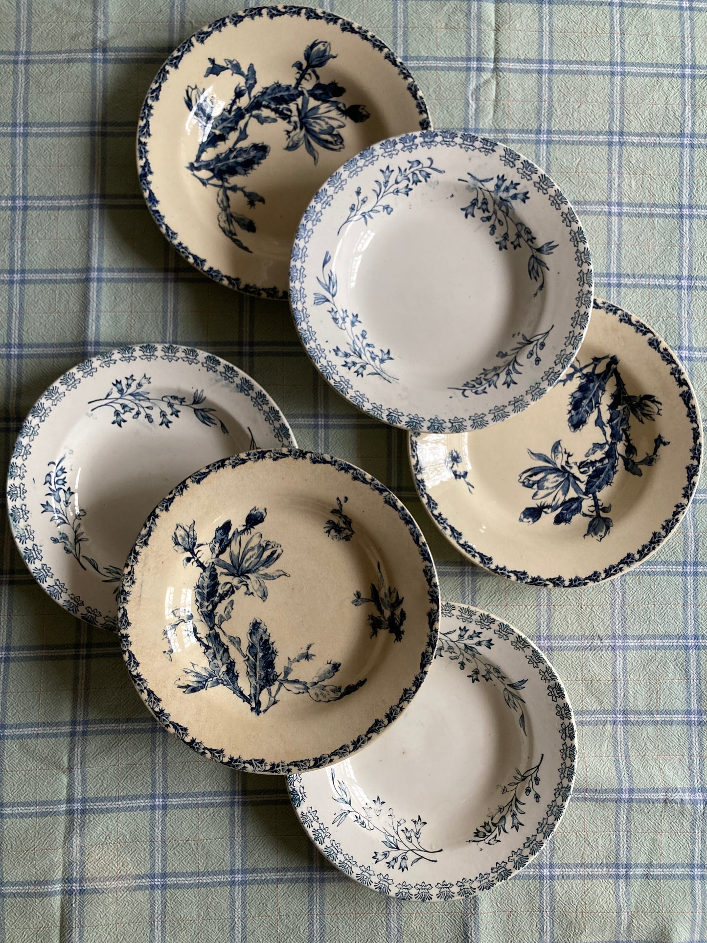 Cactus - 6 Assiettes Creuses