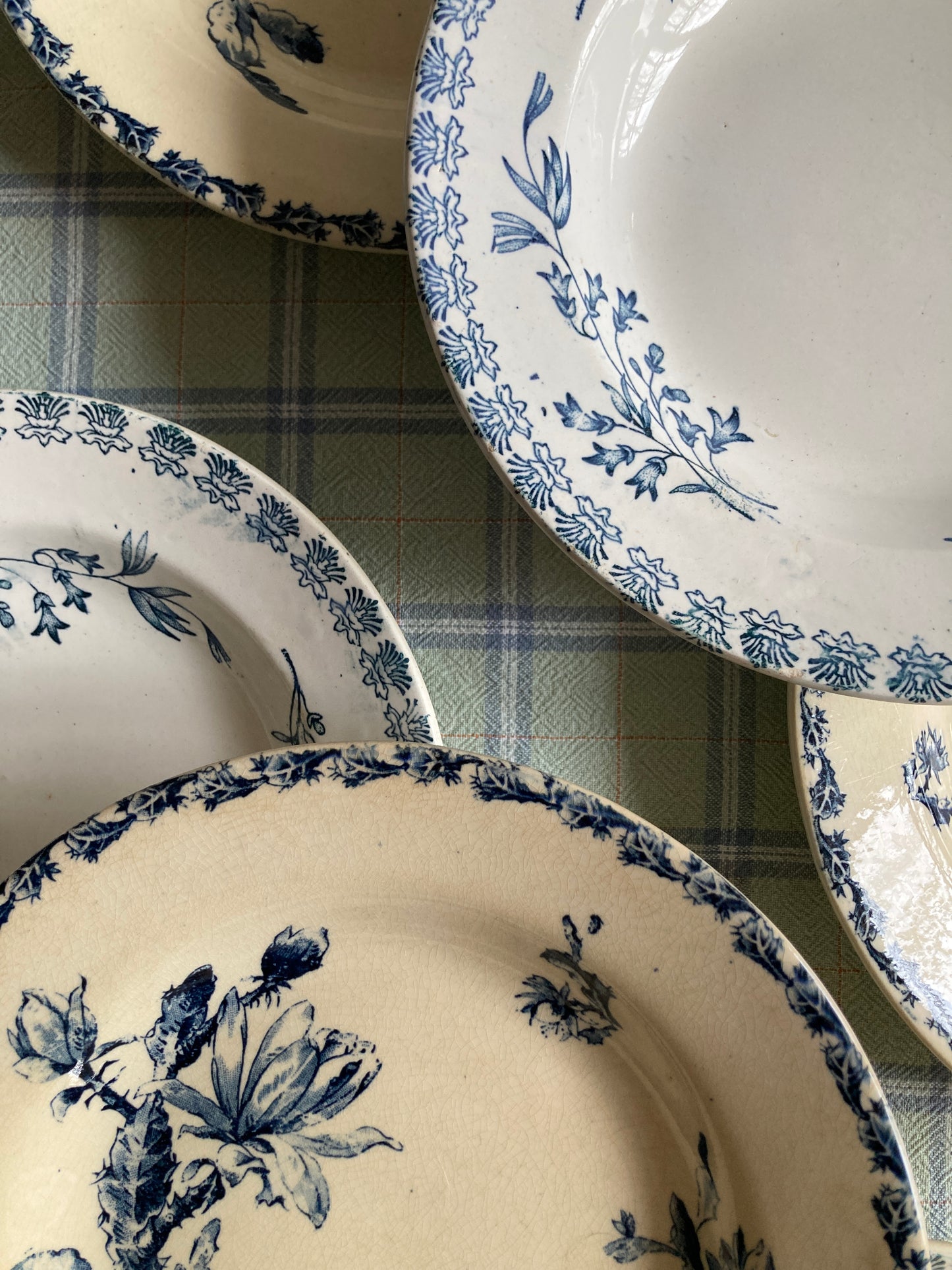 Cactus - 6 Assiettes Creuses