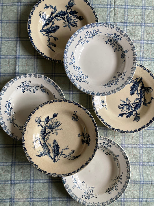 Cactus - 6 Assiettes Creuses