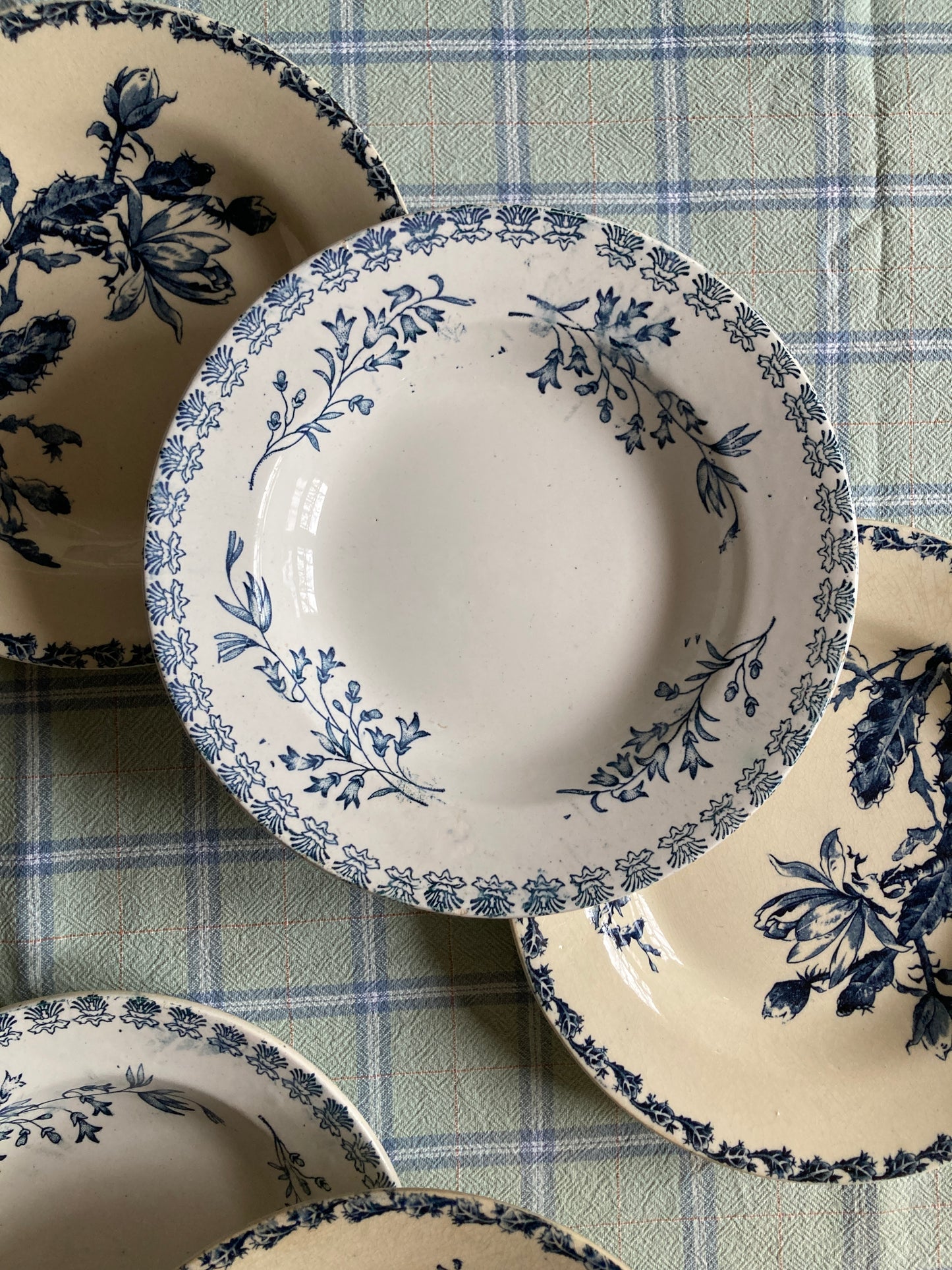 Cactus - 6 Assiettes Creuses