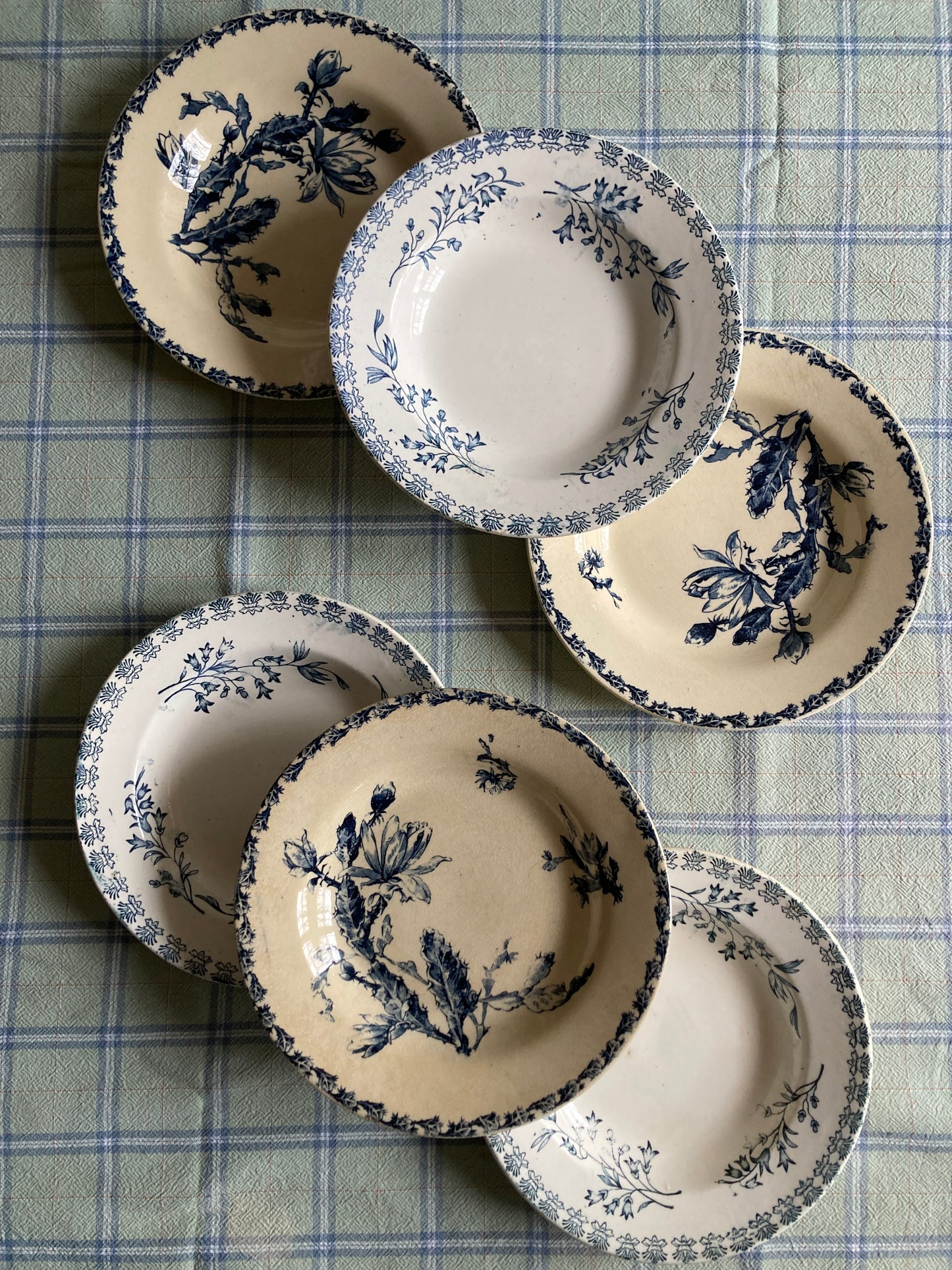 Cactus - 6 Assiettes Creuses