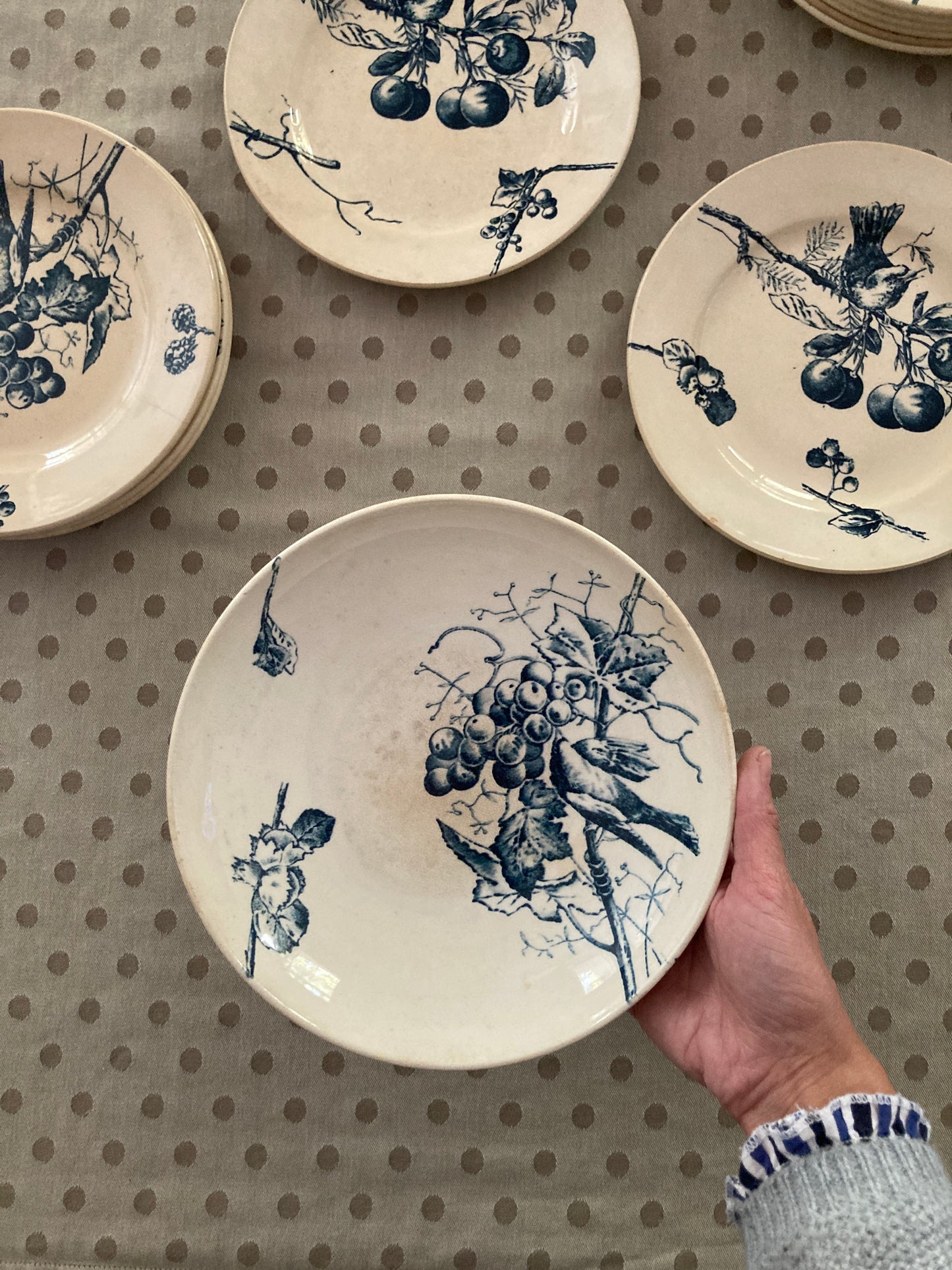 Corneilles - Compotier