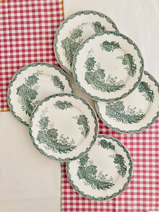 Daisy - 6 Assiettes Plates