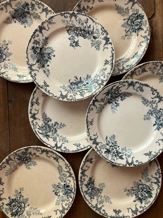 Floreal - 8 Assiettes Plates